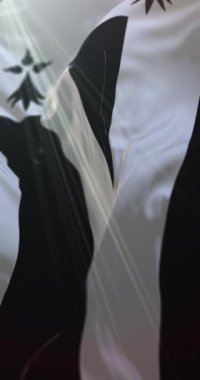 Fransa 'nın Rennes şehrinin bayrağı. Döngü. 4K Dikey