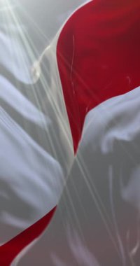 Fransa 'nın Strazburg şehrinin bayrağı. Döngü. 4K Dikey