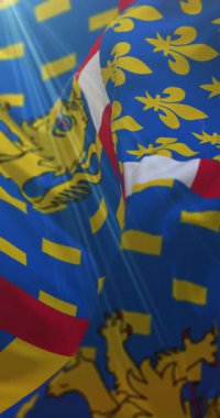 Bourgogne-Franche-Comt, Fransa bayrağı. Döngü. 4K Dikey