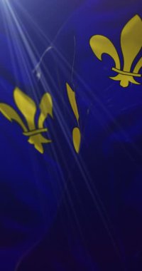 Fransa 'nın Le de France bölgesinin bayrağı. Döngü. 4K Dikey