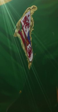 Leon bayrağı, Nikaragua. Döngü. 4K Dikey