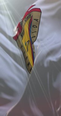 Meksika bayrağı, Baja California, Meksika. Döngü. 4K Dikey