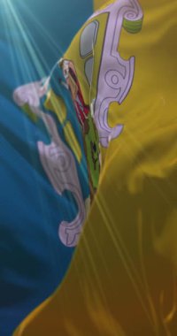 San Luis Potosi Bayrağı, Meksika. Döngü. 4K Dikey