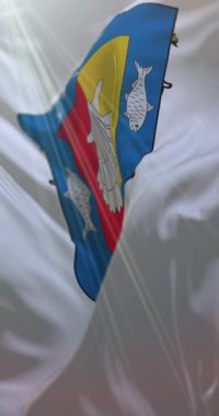 Baja California Sur, Meksika bayrağı. Döngü. 4K Dikey