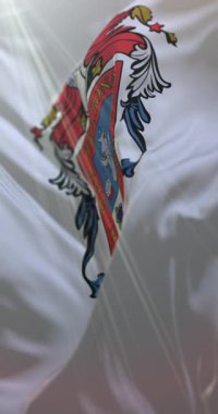 Aguascalientes, Meksika bayrağı. Döngü. 4K Dikey