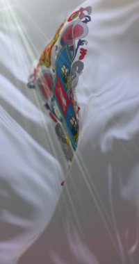 Campeche Bayrağı, Meksika. Döngü. 4K Dikey