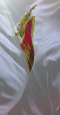 Chiapas Bayrağı, Meksika. Döngü. 4K Dikey