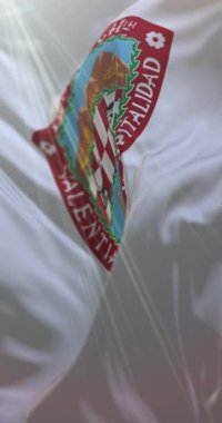 Meksika 'nın Chihuahua eyaletinin bayrağı. Döngü. 4K Dikey