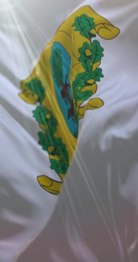 Durango bayrağı, Meksika. Döngü. 4K Dikey