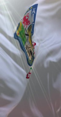 Nuevo Leon Flag, Meksika. Döngü. 4K Dikey