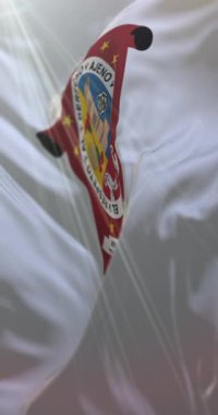 Oaxaca Bayrağı, Meksika. Döngü. 4K Dikey