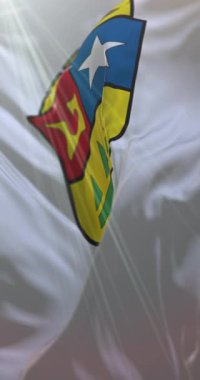 Quintana Roo bayrağı, Meksika. Döngü. 4K Dikey