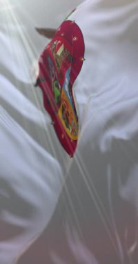 Sinaloa Bayrağı, Meksika. Döngü. 4K Dikey