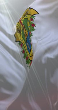 Veracruz Bayrağı, Meksika. Döngü. 4K Dikey