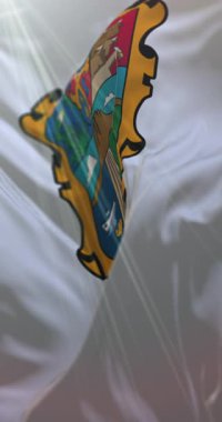 Tamaulipas Bayrağı, Meksika. Döngü. 4K Dikey