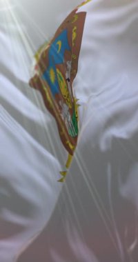 Zacatecas bayrağı, Meksika. Döngü. 4K Dikey