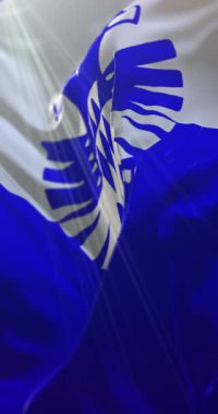 Arnhem Bayrağı, Gelderland, Hollanda. Döngü. 4K Dikey