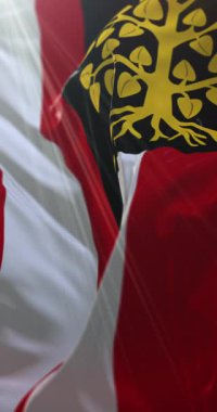 Hertogenbosch Bayrağı, Kuzey Brabant, Hollanda. Döngü. 4K Dikey