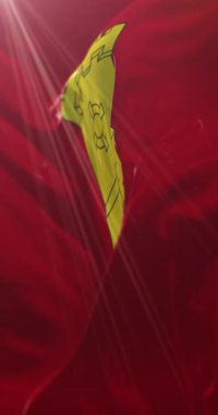 Middelburg Bayrağı, Zeeland, Hollanda. Döngü. 4K Dikey