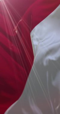 Utrecht Şehir Bayrağı, Utrecht, Hollanda. Döngü. 4K Dikey