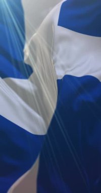 Zwolle Bayrağı, Overijssel, Hollanda. Döngü. 4K Dikey