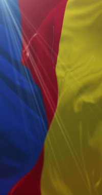 Kuzey Hollanda Bayrağı, Hollanda. Döngü. 4K Dikey