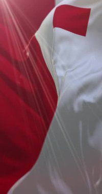 Utrecht Şehir Bayrağı, Utrecht, Hollanda. Döngü. 4K Dikey