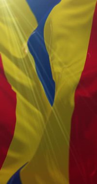 Hollanda, Overijssel bayrağı. Döngü. 4K Dikey