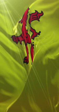 Güney Hollanda Bayrağı, Hollanda. Döngü. 4K Dikey