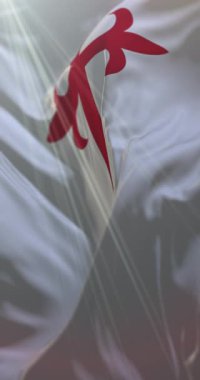 Morona Santiago Eyaleti Bayrağı, Ekvador. Döngü. 4K Dikey