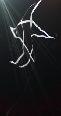 Set bayrağı. Döngü