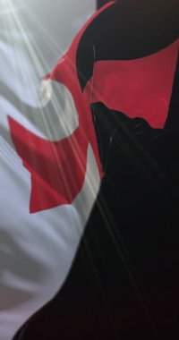 Savaş Şövalyeleri Tapınak Bayrağı. 4K dikey. Döngü