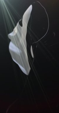 Yin Yang sembollü siyah bayrak. Döngü