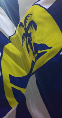 Tazman Denizi, Avustralya 'daki Lord Howe Adası bayrağı. Döngü. 4K Dikey