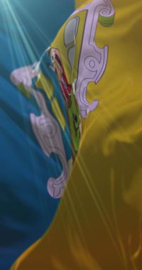 San Luis Potosi Bayrağı, Meksika. Döngü. 4K Dikey