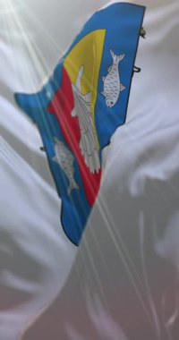 Baja California Sur, Meksika bayrağı. Döngü. 4K Dikey