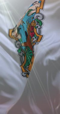 Baja California Bayrağı, Meksika. Döngü. 4K Dikey