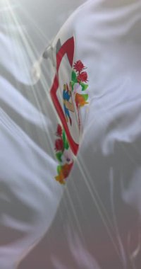 Colima Bayrağı, Meksika. Döngü. 4K Dikey