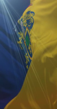 Jalisco Eyaleti bayrağı, Meksika. Döngü. 4K Dikey