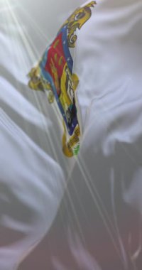 Michoacan Bayrağı, Meksika. Döngü. 4K Dikey