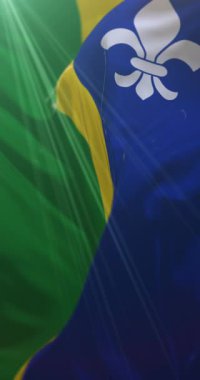 Flevoland Bayrağı, Hollanda. Döngü. 4K Dikey