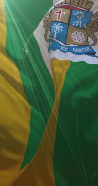 Aracaju bayrağı, Sergipe, Brezilya. Döngü. 4K Dikey