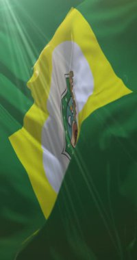 Ceara eyalet bayrağı, Brezilya. Döngü. 4K Dikey