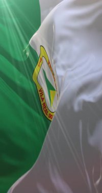 Cuiaba bayrağı, Mato Grosso, Brezilya. Döngü. 4K Dikey