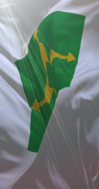 Braslia bayrağı, Brezilya 'nın başkenti. Döngü. 4K Dikey