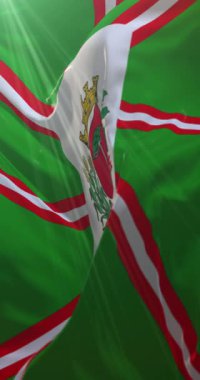 Curitiba bayrağı, Parana, Brezilya. Döngü. 4K Dikey