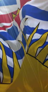 Kanada 'nın British Columbia bölgesinin bayrağı. 4K dikey. Döngü