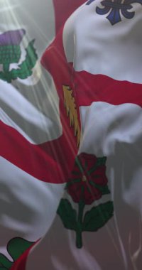 Kanada 'nın Quebec eyaletinde Montreal bayrağı. Döngü. 4K Dikey