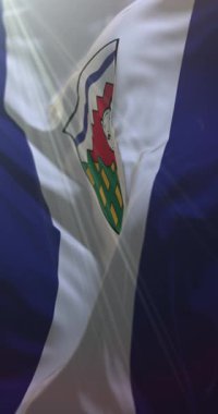 Kanada 'nın kuzeybatı bölgesinin bayrağı. Döngü. 4K Dikey