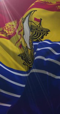 Kanada 'nın New Brunswick bölgesinin bayrağı. 4K dikey. Döngü